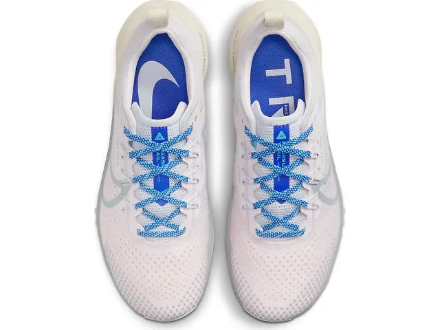 Nike Pegasus Trail 4