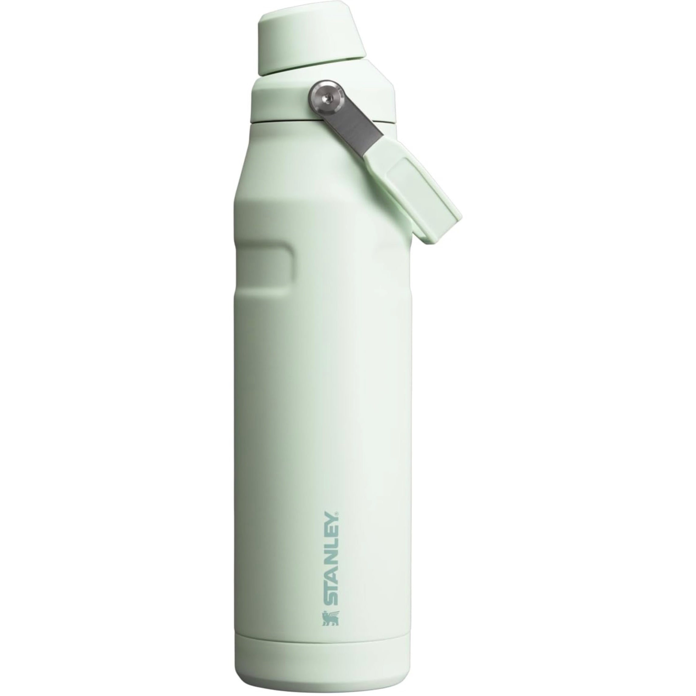 Stanley IceFlow Fast Flow. 36 oz | 1.1 L