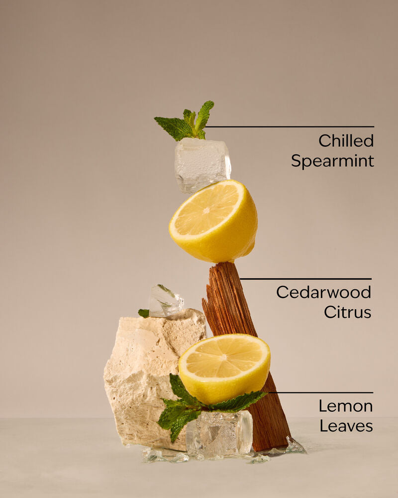 Bath&Body Works - Fresh Amalfi Lemon